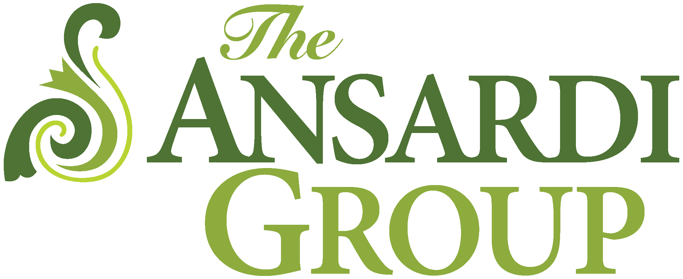 The Ansardi Group